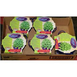 BOX OF 5 BUCKETS OF HERBS (SWEET BASIL)