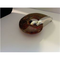 AMMOLITE FOSSIL  FASHION NECKLACE