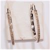 Image 1 : STERLING SILVER DIAMOND HOOP EARRINGS W/ COA