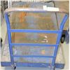Image 1 : BLUE FLAT CART