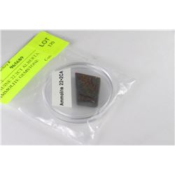 GENUINE 22.2CT ALBERTA AMMOLITE GEMSTONE