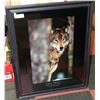 Image 1 : GREYWOLF FRAMED PICTURE 25"X32"