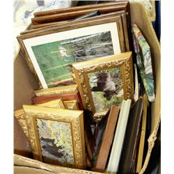 ESTATE BOX OF WOOD FRAMED WILDLIFE