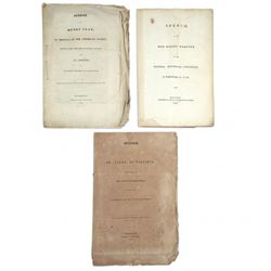 1832 Campaign - Statesmen Pamphlets
