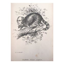 Henry Clay -  Same Old Coon  Lithograph