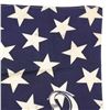 Image 10 : B. Harrison 1888 Campaign Textile
