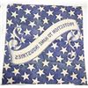 Image 2 : B. Harrison 1888 Campaign Textile