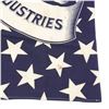 Image 9 : B. Harrison 1888 Campaign Textile