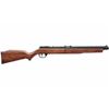 Image 1 : BENJAMIN .177 PELLET RIFLE PUMP BLK .011482000662