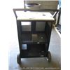 Image 3 : MKS PVS-6 CABINET
