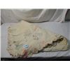 Image 1 : ANTIQUE VINTAGE HAND STITCHED QUILT