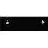Image 1 : #0065 - 14K WHITE GOLD DIAMOND(0.10CT) EARRINGS