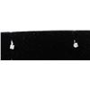 Image 1 : #0066 - 14K WHITE GOLD DIAMOND(0.10CT) EARRINGS