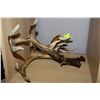 Image 1 : SET OF HANGING ANTLERS