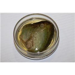 CAN OF PEARL OYSTER AND NATURAL FRESHWATER PEARL