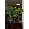 Image 1 : SHOWHOME ASSORTMENT OF 3 ARTIFICIAL PLANTS