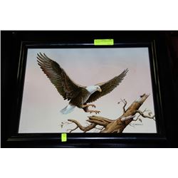 EAGLE PICTURE SIGNED BY CARSON - 15" X 19"
