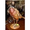 Image 1 : STUFFED AND MOUNTED PHEASANT