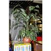 Image 1 : ARTIFICIAL PLANT IN CLAY POT