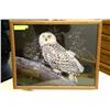 Image 1 : FRAMED OWL PICTURE