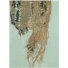 Image 4 : Textile Fragment