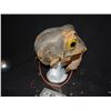 Image 3 : GALAXY BEAT SCREEN USED HERO ALIEN ANIMATRONICE CREATURE HEAD