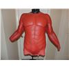 Image 1 : HELLBOY SCREEN USED HERO CHEST WITH ARMS 1 RICK BAKER