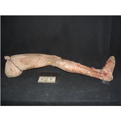 SEVERED FULL ARMATURED FOAM LEG