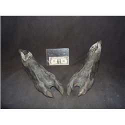 BLOOD THE LAST VAMPIRE SCREEN USED DEMON CREATURE FEET