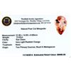 Image 2 : 13.02ctw. Natural Pear Cut Morganite