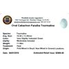 Image 2 : 11.08ctw Cabochon Paraiba Tourmaline Parcel