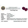 Image 2 : 10.75ctw Oval Mixed Ruby Parcel