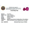 Image 2 : 15.38ctw Oval Mixed Ruby Parcel