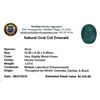 Image 2 : 3.07ctw Oval Emerald Parcel