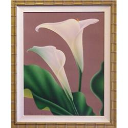 Brian Davis (20th Century) American, CALLA II, 1980, color pochoir print, signed, numbered edit...