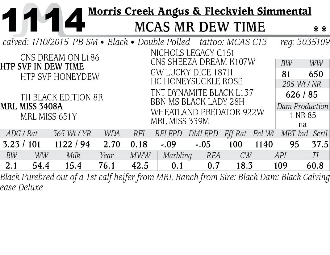 Morris Creek Angus & Fleckvieh Simmenta