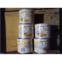 Survival Candles (5)