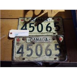 Canadian Army Licence Plates, Pair with Matching Numbers