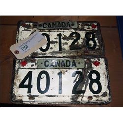Canadian Army Licence Plates, Pair with Matching Numbers
