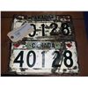 Image 1 : Canadian Army Licence Plates, Pair with Matching Numbers