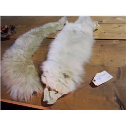 White Fox Fur & Fur Wrap