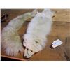 Image 1 : White Fox Fur & Fur Wrap