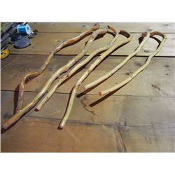 Root Art Walking Sticks (6)