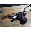 Image 1 : Folk Art Carved Longhorn Bull Rack 40"