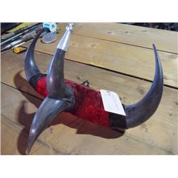 Folk Art Bull Horn Hat/Coat Rack