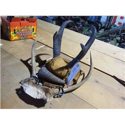 Assorted Game Horns - Tagged