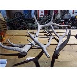 Weathered Elk Antlers (3 Pieces) Natural Shed