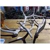 Image 1 : Weathered Elk Antlers (3 Pieces) Natural Shed