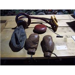 Boxing Punching Bag, Gloves, Bell