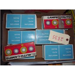 Box Misc. Auto Bulbs